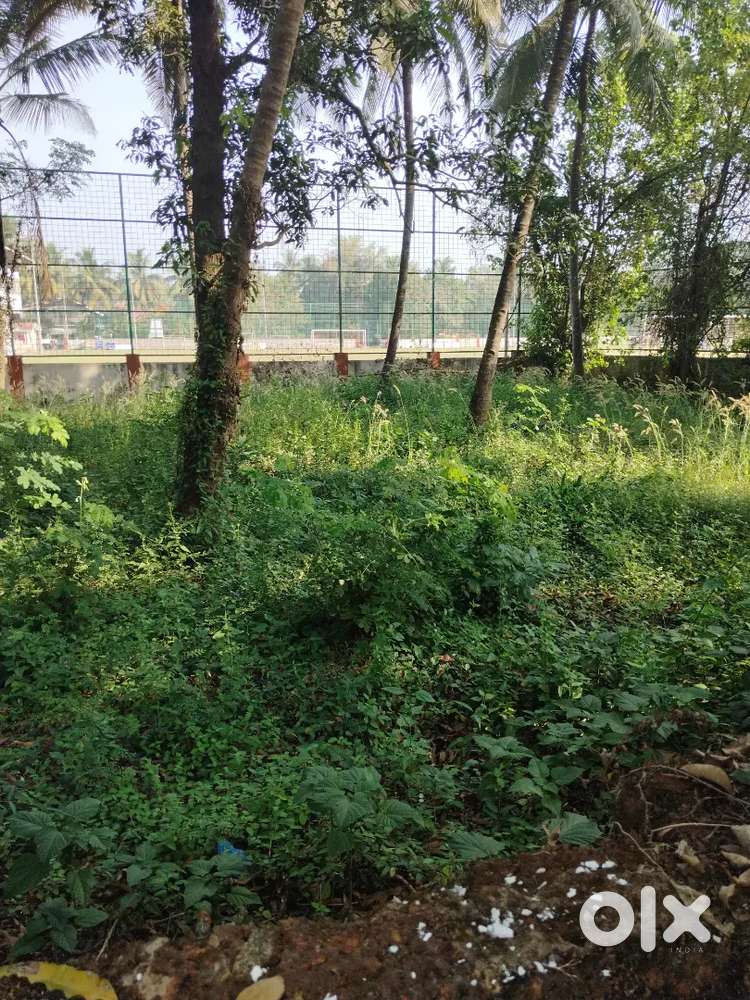4500 m2 Orchard Property for Sale in Qupem, South Goa