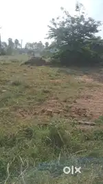Plot for sale in Guduvanchery with clear titles