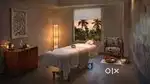 Lady Spa therapist wanted