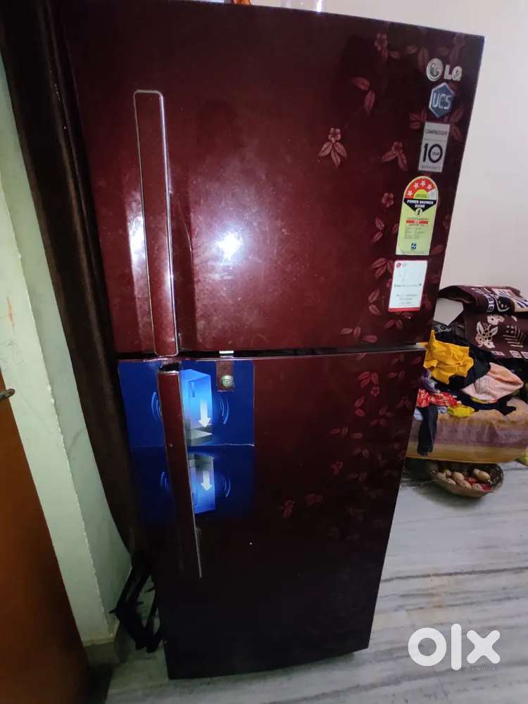 LG GREEN DOOR COOLING 135V-290V FIRDGE