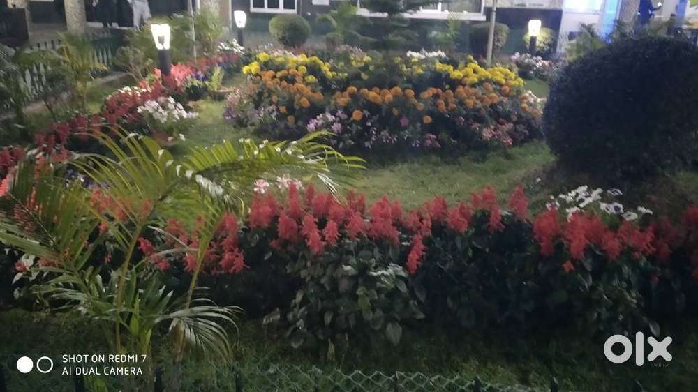 plot sell urgently koraput