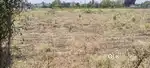 500 War Plot for Sale on Samangaon Road, Sinner Phata, Nasik Road