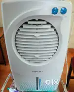 Cooler 36 ltr