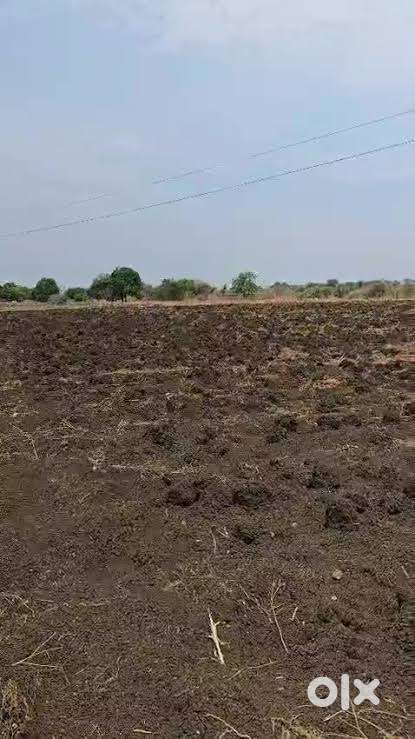 Agriculture land for sale