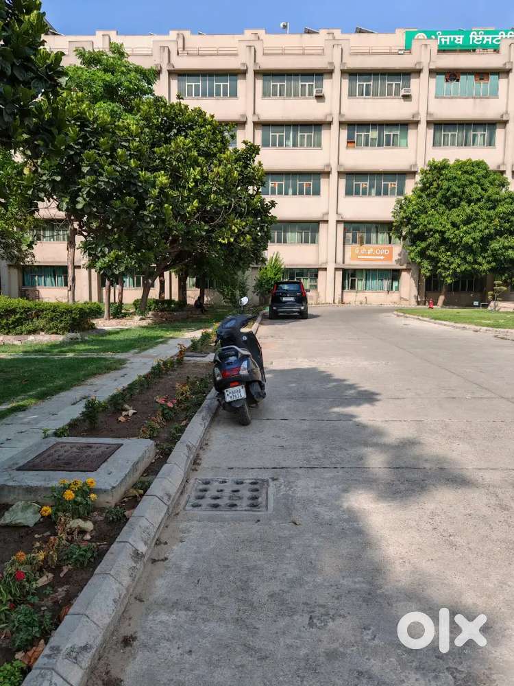 Jalandhar  officer ki mother ke liye female staff nurse. GDA chahie.