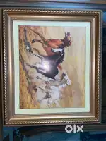 Scenrey of horses