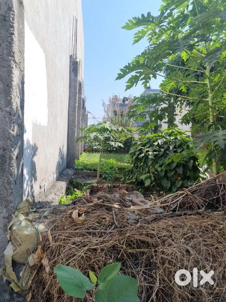 Plot Avaiable Raja garden jagjeetpur