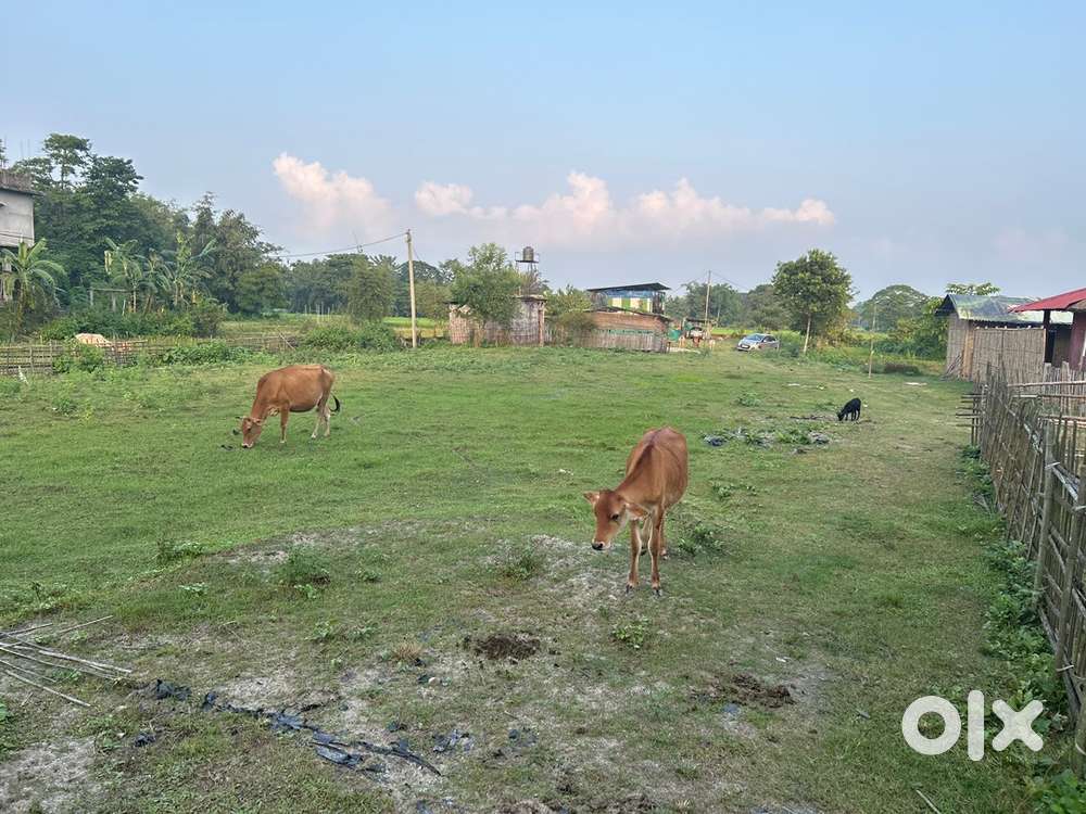 Land for rent In Bihdia - Baihata - Goreswar Road