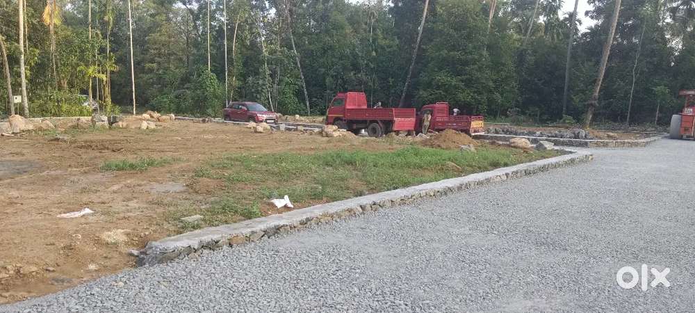 Angamaly appollo hospital 2 km 5 , 8, 10, 20 cent plots available