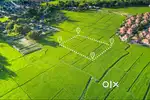 PUNJAB SCHEME KE TAHAT 500 GJ INDUSTRIAL PLOT AVILABLE IN RAJPURA