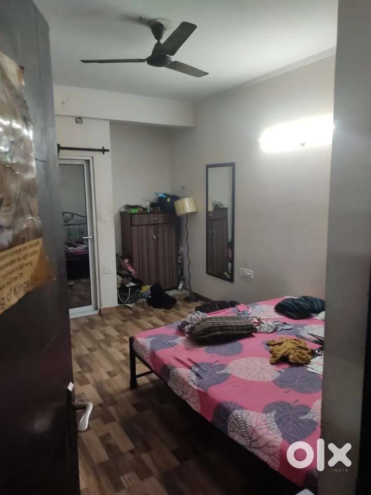 Available for bachelors male, Working or Students