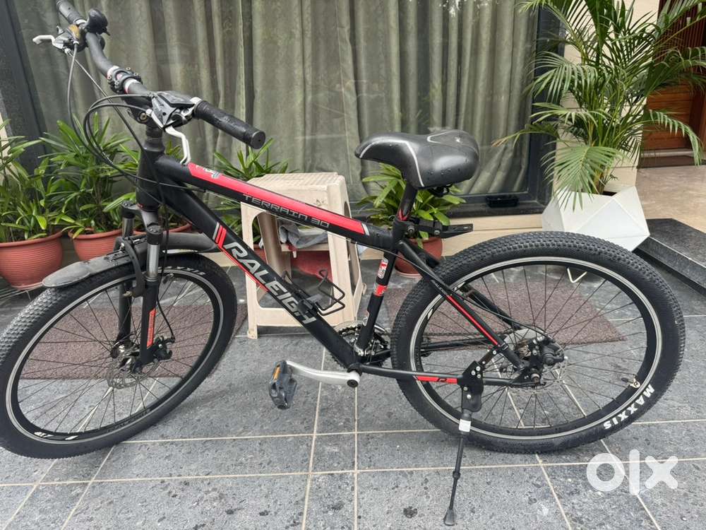 raleigh terrain 30