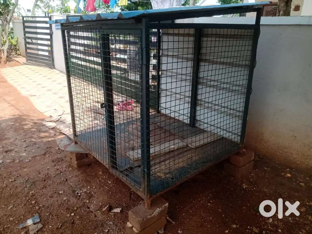 Big Dog cage