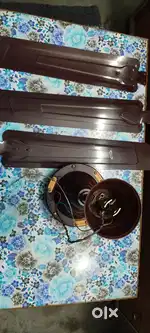 Pollar Celling fan for sale