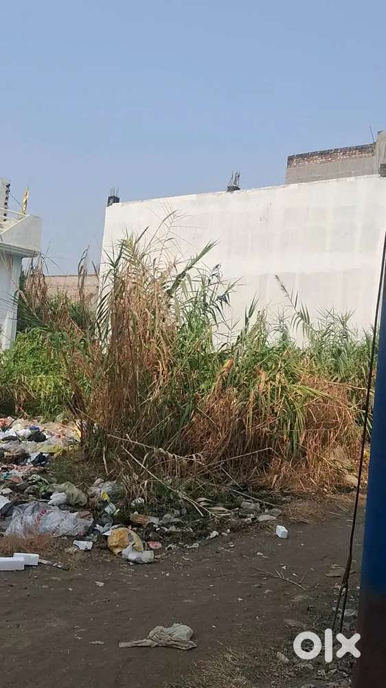 Behind Sethi Flour Mill Chargawan Gorakhpur