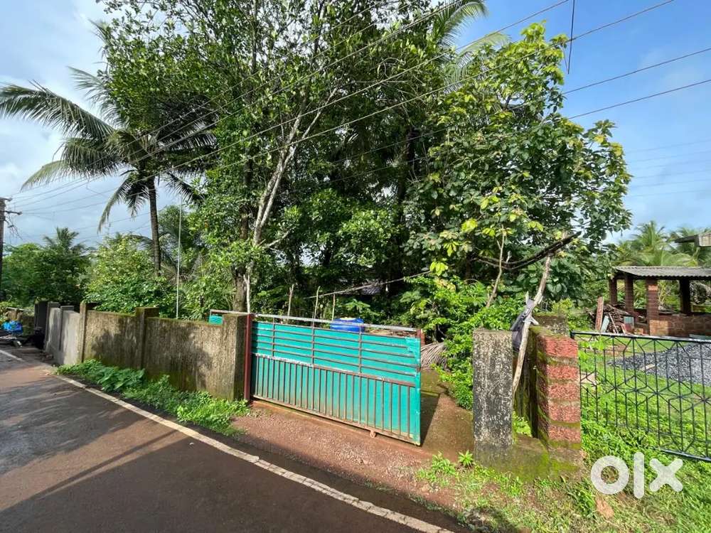 1000 sq mtrs full plot with house and Garden for sale