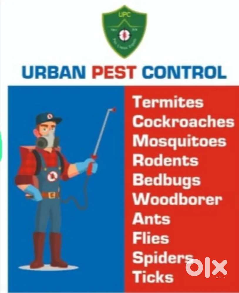8hrs work, pest control service