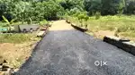 Chottanikkara area residents house plot for sale