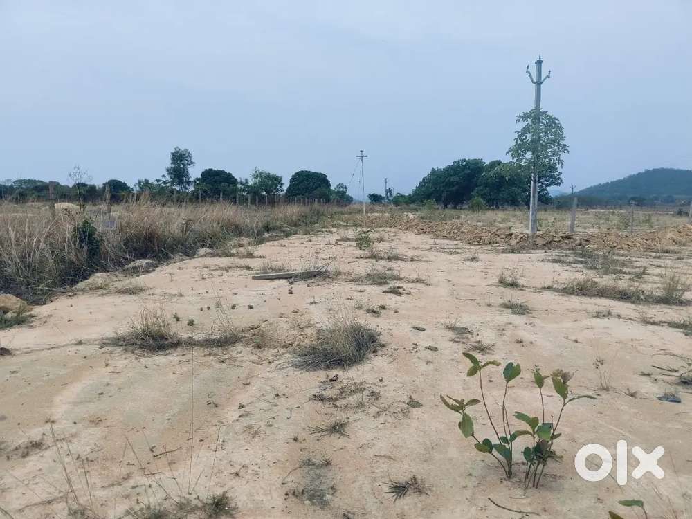 SC Land with patta with partition completed