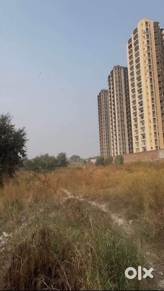 Land for rent on delhi highway