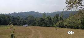 8 Acres of good scenic view land for sale in Sakleshpur