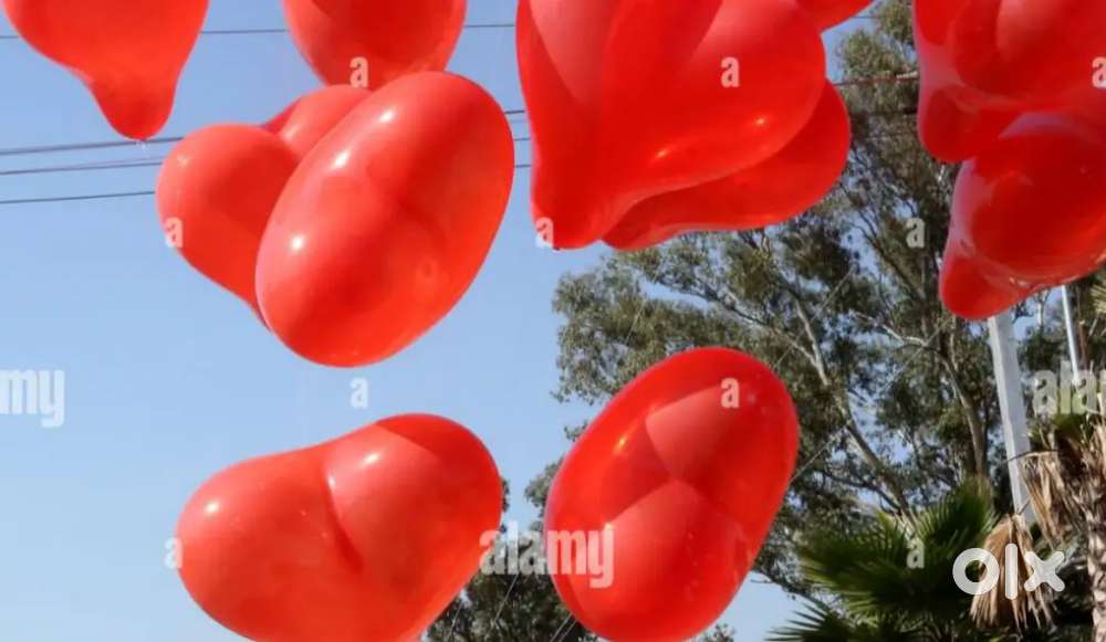 Job Requirements: Daily working hours — 5 PM to 9 PM, salary ₹300/day