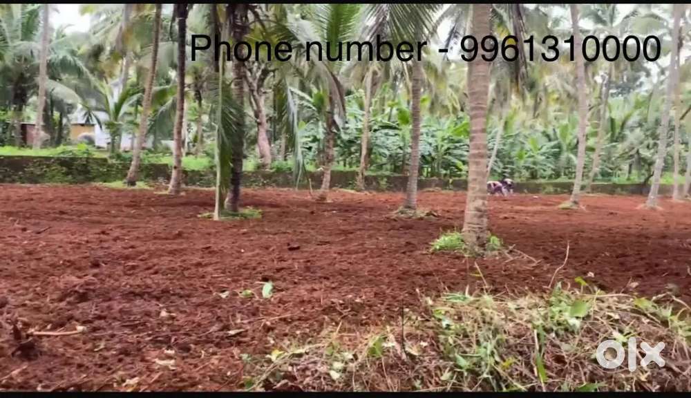 Malappuram - chelari - Madhapuram road ( 800 meter from main road)