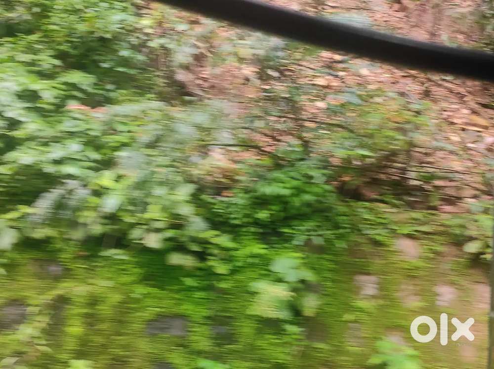 I wanted to buy a plot