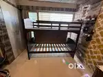 Bunk bed for immediate sell