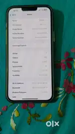 iPhone 13 pro max 1tb