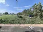 agri land sale