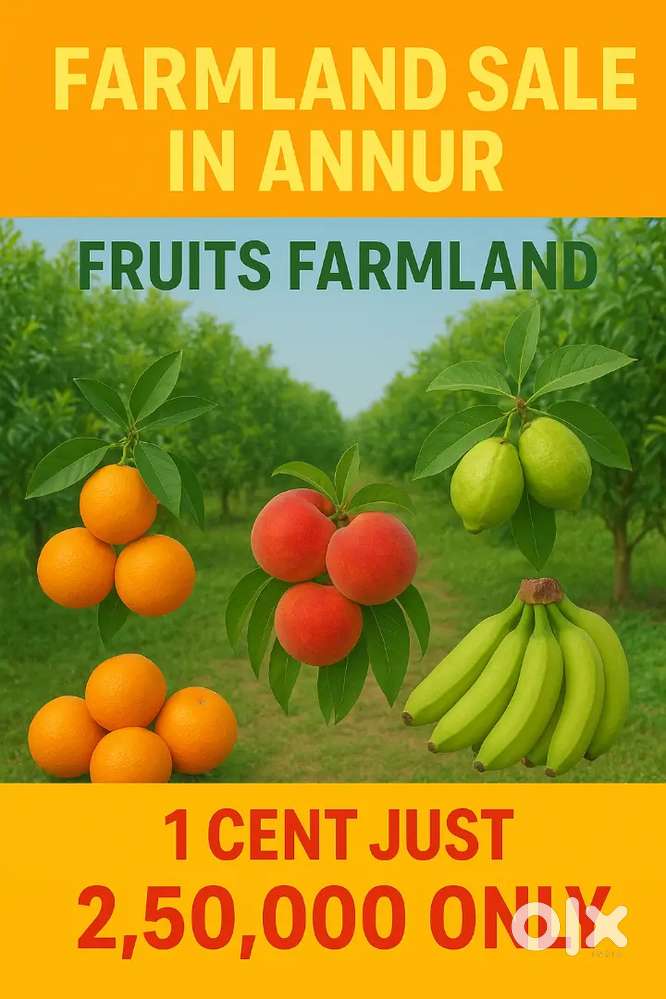 Invest today grow tomorrow
Farmland sale in Annur
Fruits farmland