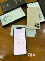 Apple IPhone 12 PRO 6gb (128gb ) open box stock clearance sell availab
