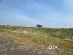 220 yrd, DTCP, NH-216 Kakinada-Yanam road
