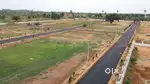 Budget-Friendly Plots for Sale