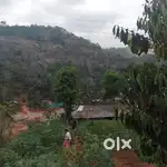 Highway Facing 1.5 acres of land, Ideal for Resorts and villas