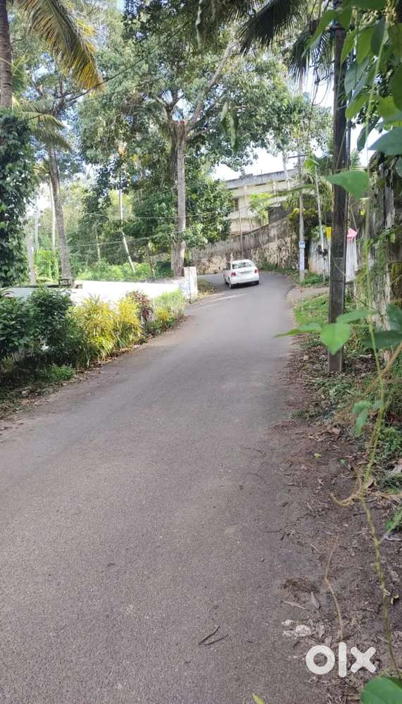 Rectangle Plot for sale