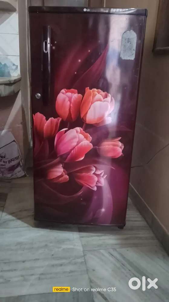 LG FREEZE only one year old