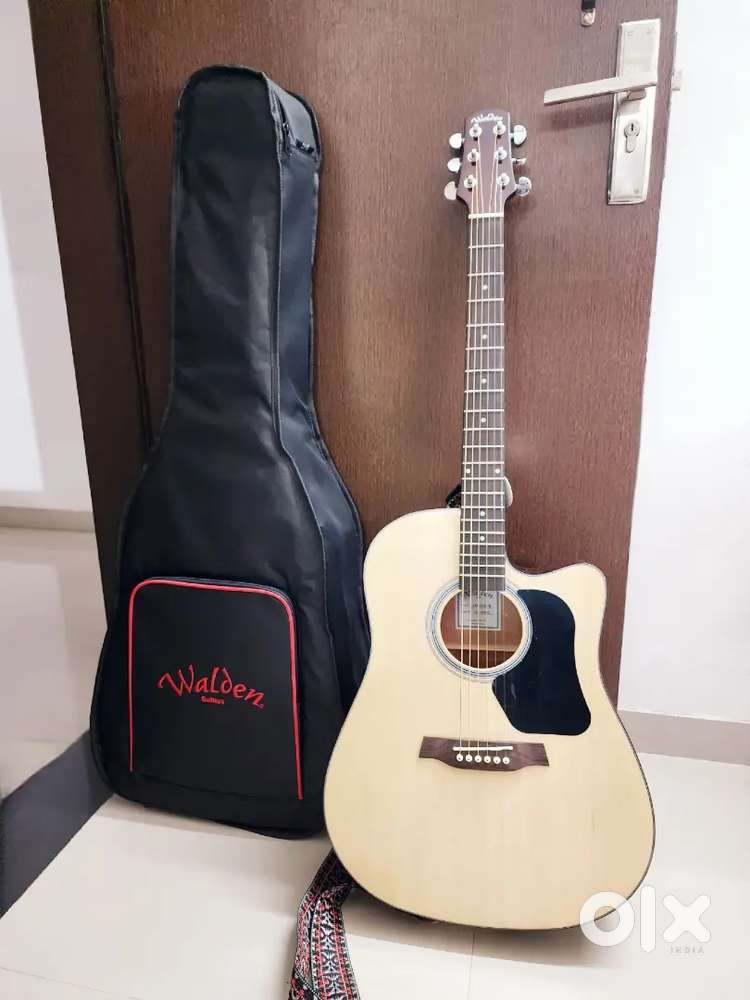 Walden D450CE (with battery, strap, bag, capo)