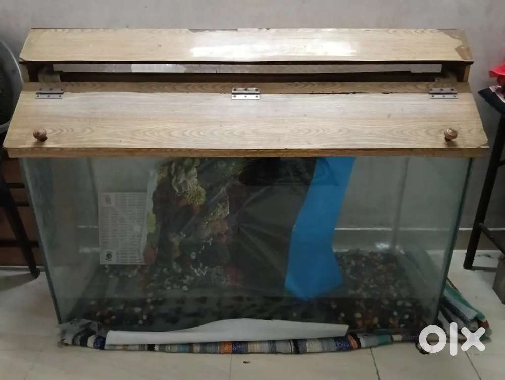 Glass aquarium