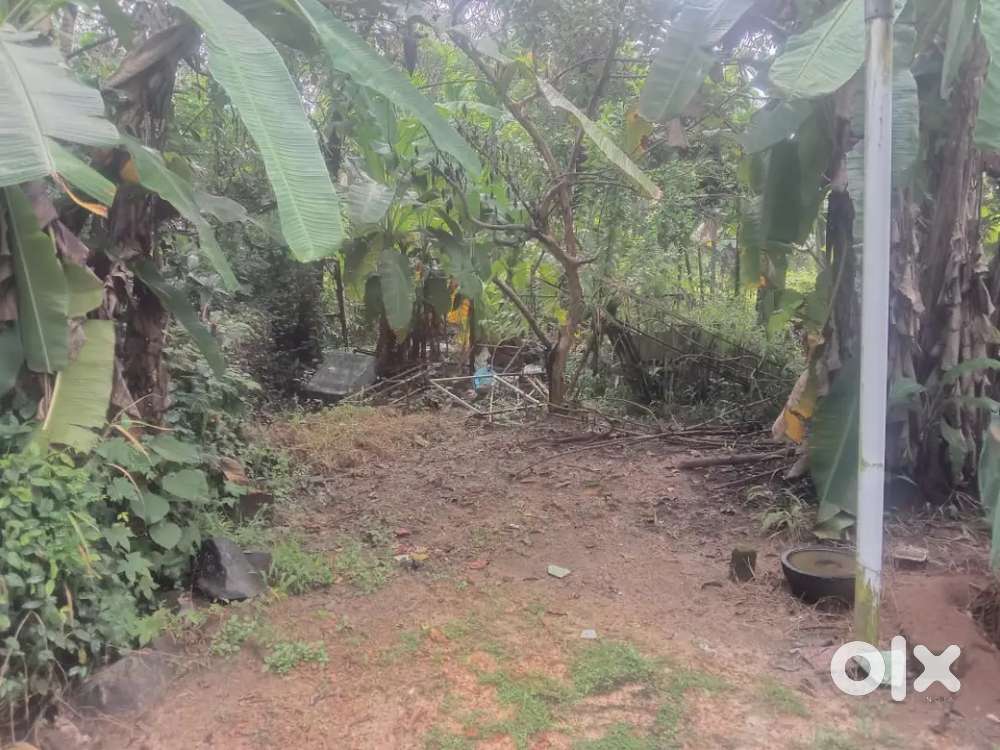 5.75 cent,near Bhavans school, Minor road, nadathara,