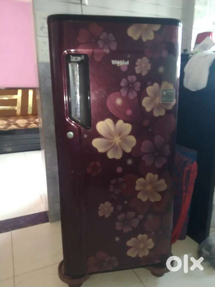 Single door refrigerator
