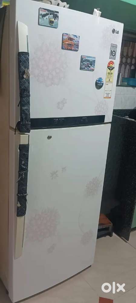 LG Double door fridge