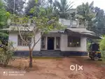 23 Cent Plot with House for Sale – Pulpally, Wayanad