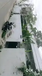 House for rent at cobaldpet 1st lane Guntur