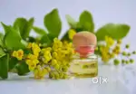 Wellness Therapist Job for Boys – Training Included
