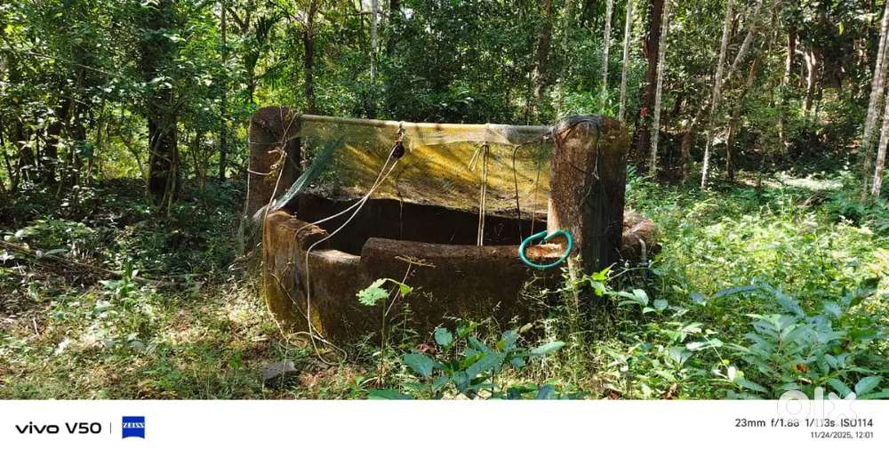 1 kilometres away from perdoor..