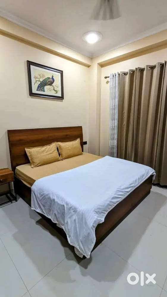 1bhk luxury flat available furnished
