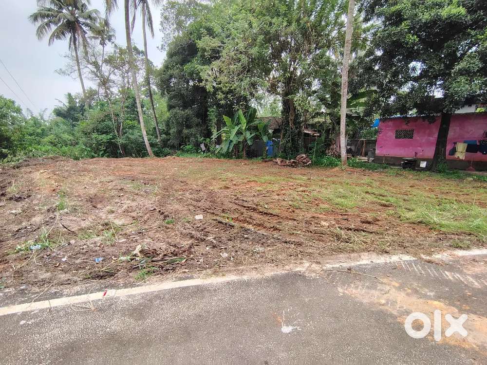 8 cent house plot near Pathirapally Maruthi service center