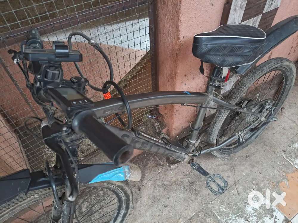 Electrical bike cycle